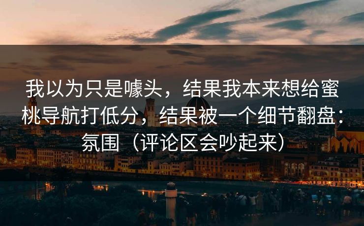 我以为只是噱头，结果我本来想给蜜桃导航打低分，结果被一个细节翻盘：氛围（评论区会吵起来）