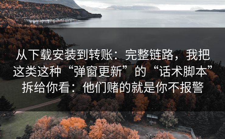 从下载安装到转账：完整链路，我把这类这种“弹窗更新”的“话术脚本”拆给你看：他们赌的就是你不报警