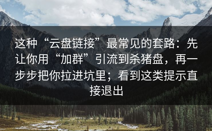 这种“云盘链接”最常见的套路：先让你用“加群”引流到杀猪盘，再一步步把你拉进坑里；看到这类提示直接退出
