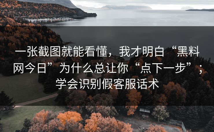 一张截图就能看懂，我才明白“黑料网今日”为什么总让你“点下一步”；学会识别假客服话术