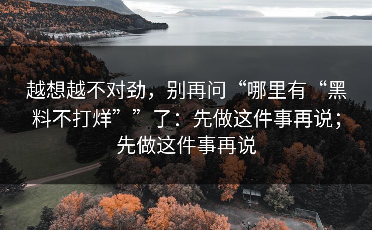 越想越不对劲，别再问“哪里有“黑料不打烊””了：先做这件事再说；先做这件事再说