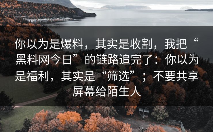 你以为是爆料，其实是收割，我把“黑料网今日”的链路追完了：你以为是福利，其实是“筛选”；不要共享屏幕给陌生人