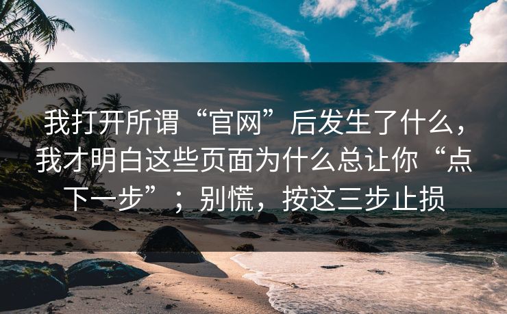 我打开所谓“官网”后发生了什么，我才明白这些页面为什么总让你“点下一步”；别慌，按这三步止损