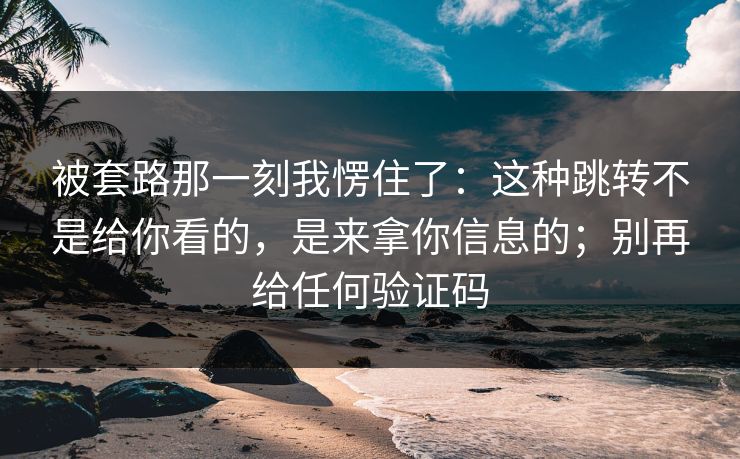 被套路那一刻我愣住了:这种跳转不是给你看的,是来拿你信息的;别再给任何验证码